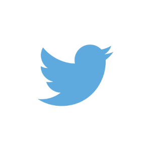 Twitter Logo - 5 Misconceptions About Twitter